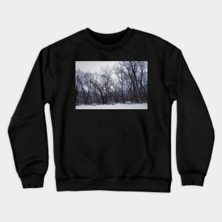 Winter's Arboreal Majesty Crewneck Sweatshirt